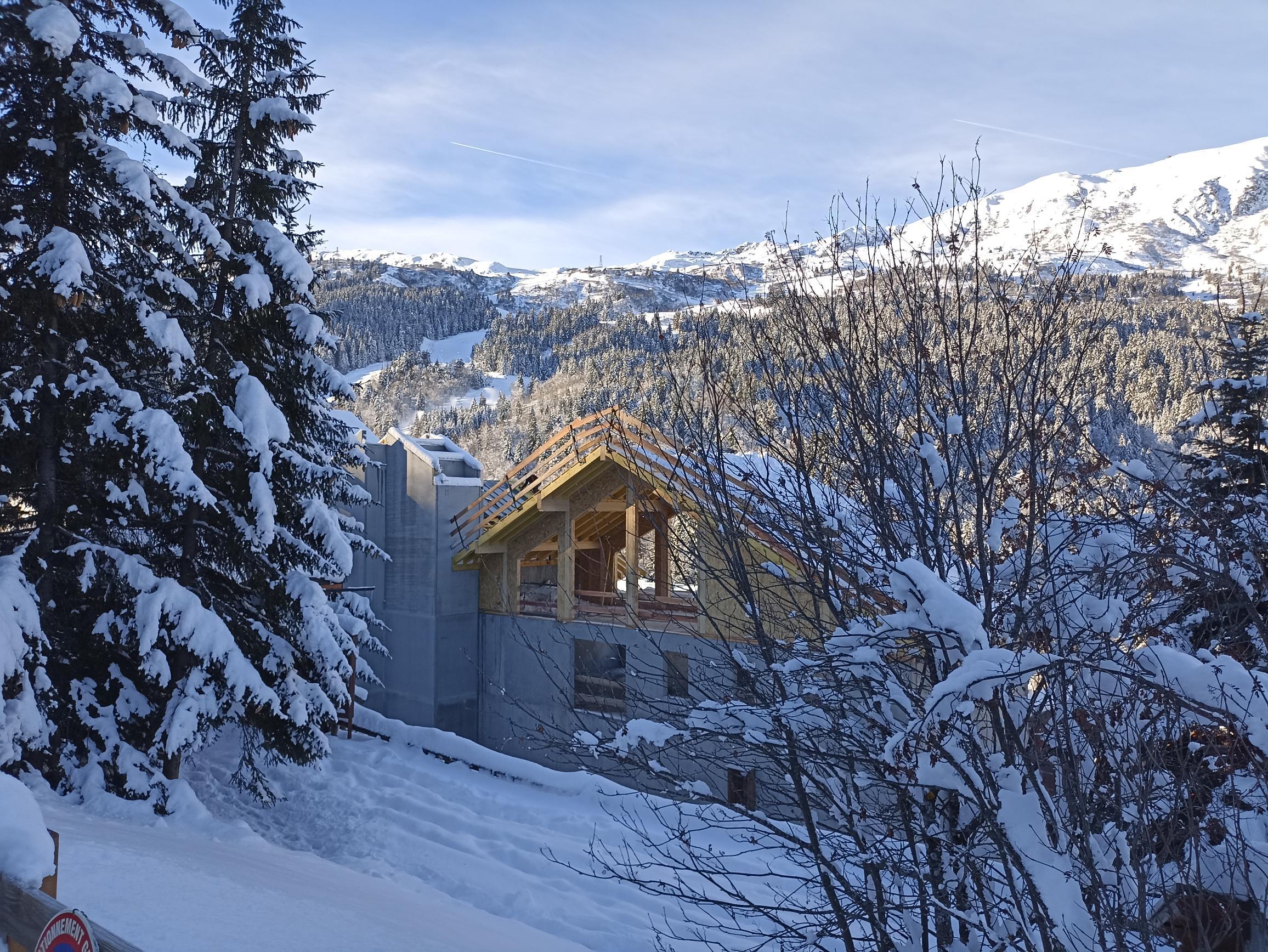 Le Genepi