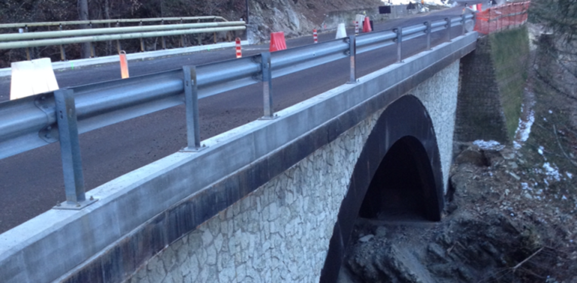 Ponte rio Biz